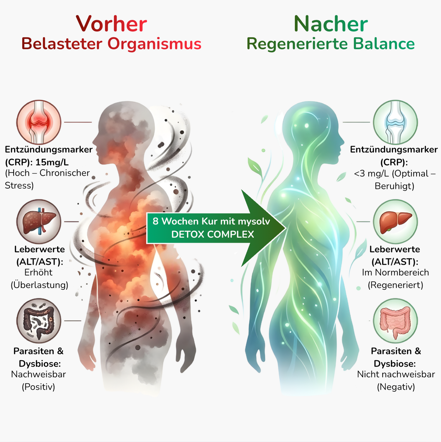 mysolv® DETOX COMPLEX