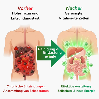 mysolv® DETOX COMPLEX